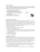 Page 21 Thumbnail