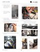 Page 38 Thumbnail